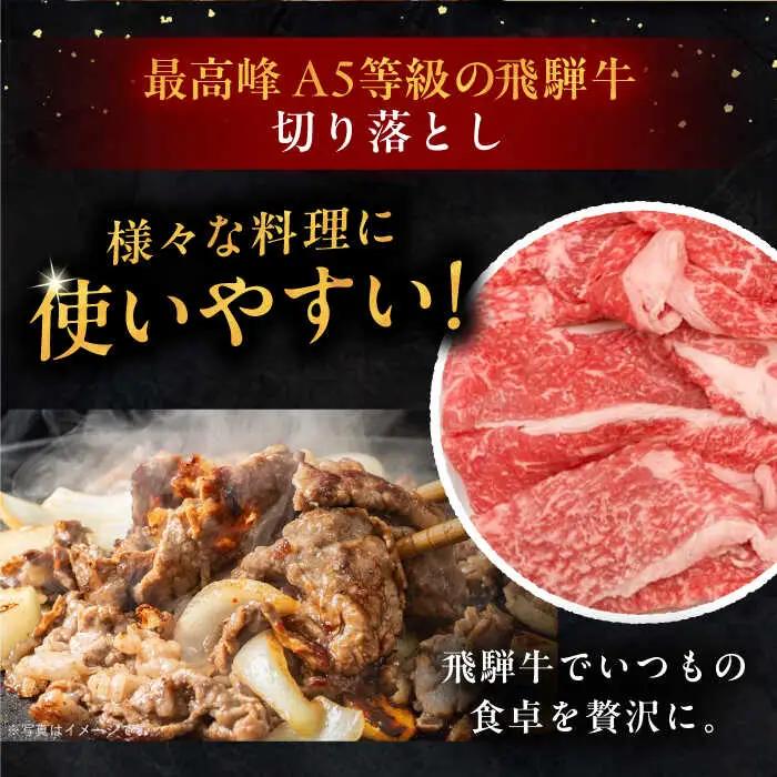 【12回定期便】 飛騨牛 切り落とし肉 A5ランク 500g×2パック (1kg) / 恵那市 / 岩島屋 [AUAJ035]