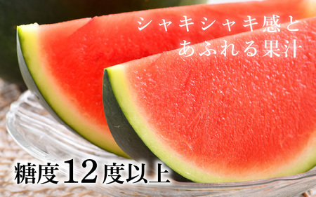 【先行予約】シャリシャリ甘いっ！ 甘い東尋坊黒皮種無しスイカ 6～10kg × 1玉 【2024年7月上旬以降順次発送予定】【スイカ 西瓜 フルーツ 果物 国産 お中元 内祝い お祝い】 [A-102