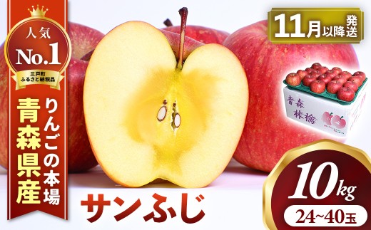 りんご【サンふじ】 約10kg（24～40玉）【2026年産・先行予約】★2026年11月下旬～12月上旬頃発送予定★ 青森県三戸町産 りんご 林檎 フルーツ 果物 果実 青森 三戸 高級 贈答 ギフト プレゼント 産地直送 農家直送 青森県三戸町 AK-25-070