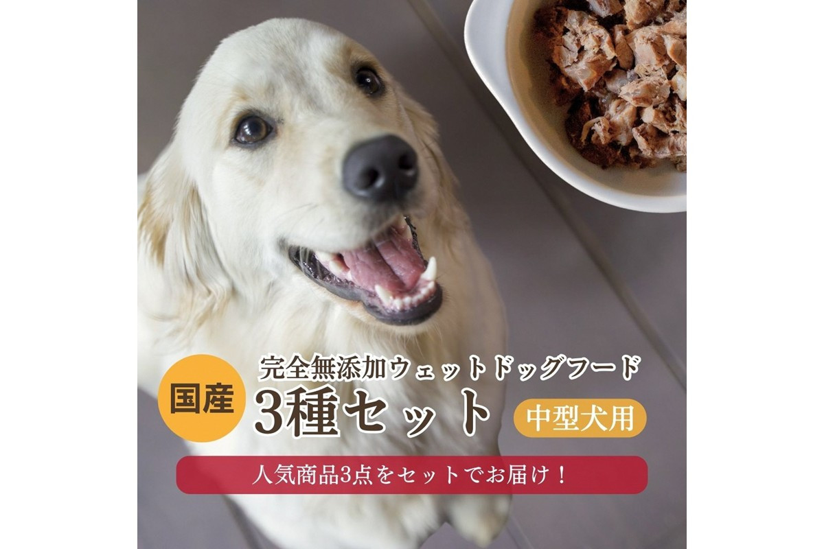 
                  【国産 ドッグフード】<中型犬用>3種セット 中型犬用のゆで鹿肉、鹿の骨のスープ、野菜と鹿肉ドッグフードのセット ウェットドッグフード／無添加／高タンパク／低脂肪／犬／ダイエット／ペットフード／ドッグフード 国産／犬のエサ／餌　IC00034
                