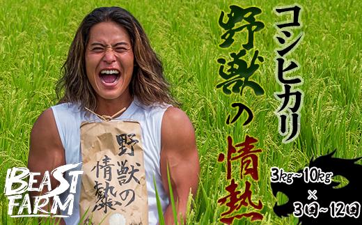 
             令和7年産 新米 コシヒカリ ”野獣の情熱” 定期便 全3回〜12回 3kg・5kg・10kgから選べる 8月下旬より順次発送予定 高知県産 精米 白米 ごはん 産地直送 おすすめ 人気 ランキング 贈り物 お米定期便 井上農園 ビースト農園 高知県 須崎市
          