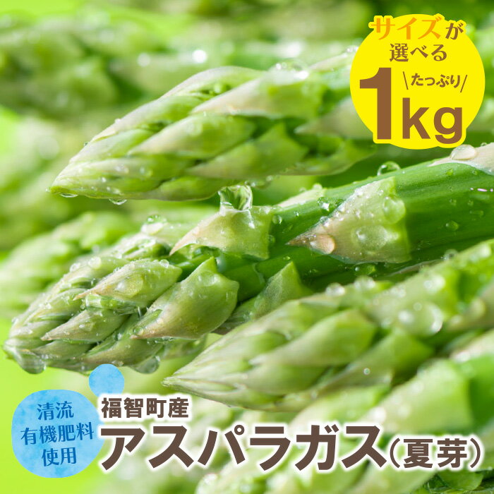 【ふるさと納税】サイズが選べる 清流・有機肥料使用 アスパラガス(夏芽) 1kg 朝採り 旬 旬野菜 新鮮 アスパラ アスパラガス 野菜 とれたて お取り寄せ 福岡県 福智町 国産 九州産 送料無料