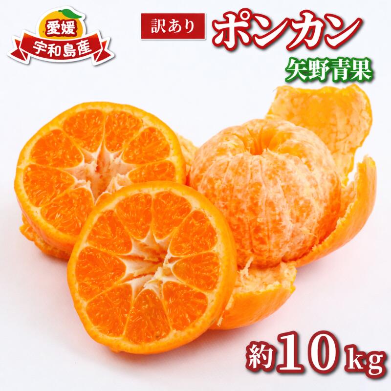 【ふるさと納税】 訳あり ポンカン 10kg 矢野青果 わけあり 訳あり品 訳有り 訳アリ 愛媛みかん 愛媛ミカン みかん フルーツ 柑橘 蜜柑 mikan 果物 くだもの 甘い コク 人気のみかん 美味しい 産地直送 数量限定 国産 愛媛 宇和島 B010-171031