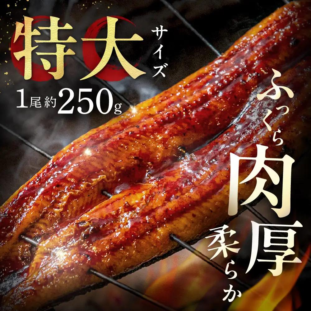 【3回定期便】うなぎ蒲焼き500g以上(250g以上×2尾)【魚住商店】_HB0223 うなぎ 鰻 蒲焼 真空パック 福岡県宗像市 宗像市 福岡 宗像