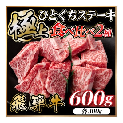 飛騨牛 ひとくちステーキ 食べ比べ 2種 約600g(各約300g) 黒毛和牛 BBQ用【配送不可地域：離島】