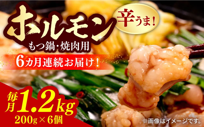 
【全6回定期便】【やみつき辛うま！】もつ鍋・焼肉用 国産ホルモン 200g ×6《豊前市》【ますだ産業】 [VBV007]
