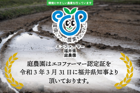 【先行予約】【令和6年産 新米】越前大野産 エコファーマー認定農家栽培 コシヒカリ10kg（白米）[A-001035]