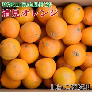 【訳あり・ご家庭用】和歌山由良町産の濃厚清見オレンジ約10kg　※2026年2月中旬～2026年2月下旬頃より順次配送予定