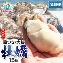 【ふるさと納税】 牡蠣 殻付き 生食 15個 冷蔵 大粒 (ナイフ・軍手・剥き方説明書付き)［ 真牡蠣 牡蠣 かき カキ 生牡蠣 生食用 旬 新鮮 海鮮 濃厚 料理 鍋 牡蠣鍋 カキフライ バーベキュー BBQ キャンプ おいしい TV テレビ 産地直送 三陸 岩手 陸前高田 マルテン水産 ］