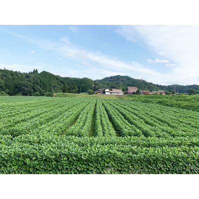ふるさと納税 北広島町 ゆらぎ女子の美を支える植物由来100%アロママッサージオイル4種セット |  | 03