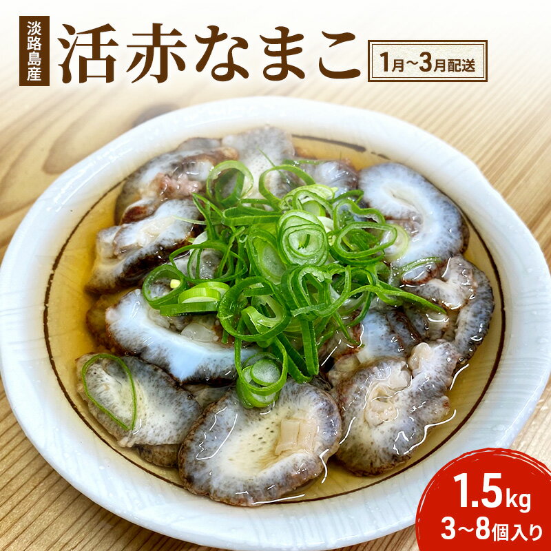 【ふるさと納税】赤なまこ（活）3～8個入り1.5kg 【1月～3月配送】 兵庫県 洲本市 淡路島 　お届け：1月初旬～3月末