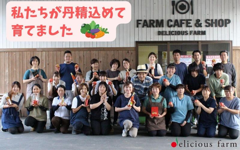 デリシャスファームの干し芋 平干しタイプ 120g×1袋セット/ さつまいも 芋 お芋 おやつ 干し芋 おいも