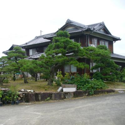 ふるさと納税 浅口市 盆栽 錦松 1鉢【古城愛朋園】 |  | 01