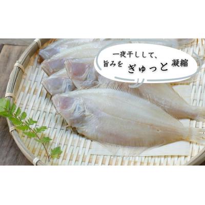 ふるさと納税 京都市 【津乃弥】一夜干しかれいセット(5枚) |  | 01