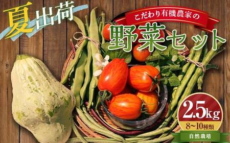 《先行予約》＜夏出荷＞こだわり有機農家の野菜セット 2.5kg(8～10種類)  F4D-0130