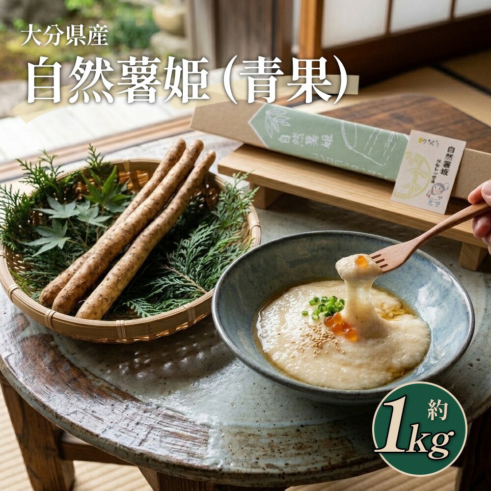 【ふるさと納税】自然薯姫 （青果） 約1kg 【発送不可期間:毎年4月下旬-11月上旬】