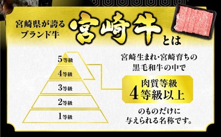 【お中元・夏の贈り物】数量限定 厳選 宮崎牛 赤身 スライス 計500g 牛肉 すき焼き しゃぶしゃぶ 黒毛和牛 御中元_BC118-252