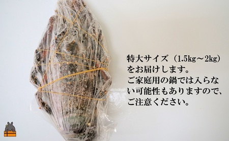 新鮮なまますぐ冷凍!!徳之島産冷凍“特大”伊勢海老1尾（1.5kg以上） （ 伊勢えび イセエビ 伊勢えび 伊勢エビ えび エビ 海老 鍋 ご馳走 海の幸 料理 焼き 人気 海産物 家族 正月 お祝い