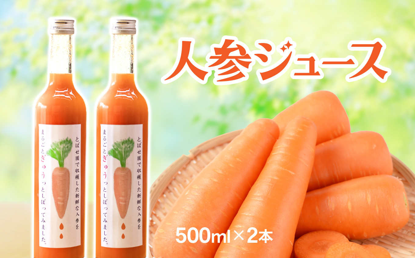 【思いやり型返礼品】とばせ園 人参ジュース 500ml2本入り