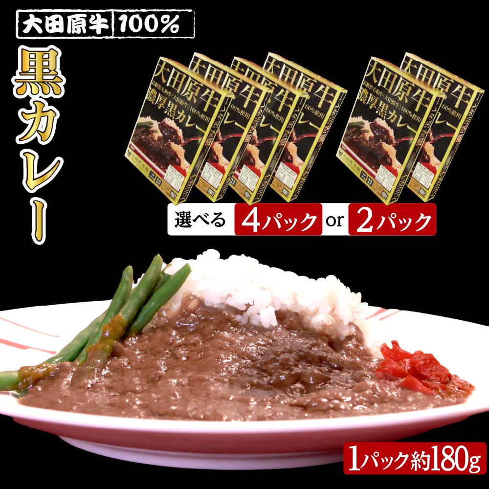 【ふるさと納税】【内容量選択可能】大田原牛 100％ 黒カレー 2パックセットまたは4パックセット | レトルト カレー 和牛 牛肉 ビーフカレー 高級 | 食品 加工食品 人気 おすすめ 送料無料