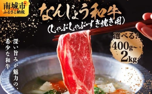 
            《極上の味わい》和牛しゃぶしゃぶ用 400g~2kg なんじょう和牛|黒毛和牛 しゃぶしゃぶ 牛肉 沖縄県 南城市 送料無料
          