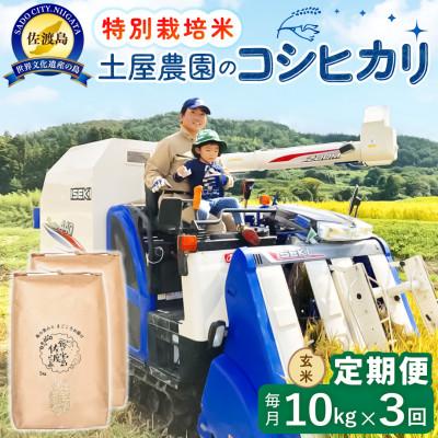 ふるさと納税 佐渡市 【毎月定期便】佐渡島産コシヒカリ 玄米10kg 土屋農園 農家直送 特別栽培米　全3回