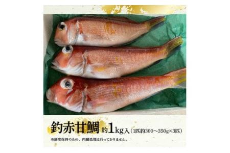 『釣赤甘鯛 Ｂ』【鮮魚 さかな 九州 宮崎 川南町 新鮮 魚介 海の幸 魚介類 たい】