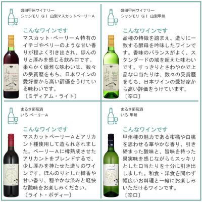 ふるさと納税 山梨県 山梨ワイン 至極の12本セット |  | 01