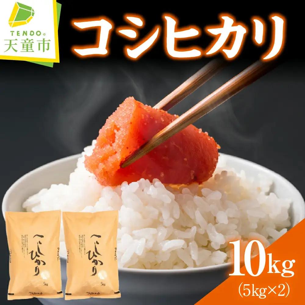 コシヒカリ 10kg [ 令和8年産 ] 米 精米 山形