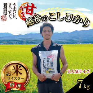 【令和6年産】甘うま越後のこしひかり 7kg 越後 えちご 玄米 特別栽培米 新潟 コメ こめ お米 米 しんまい 新潟県 新潟米 新発田市 新発田産 toushin006