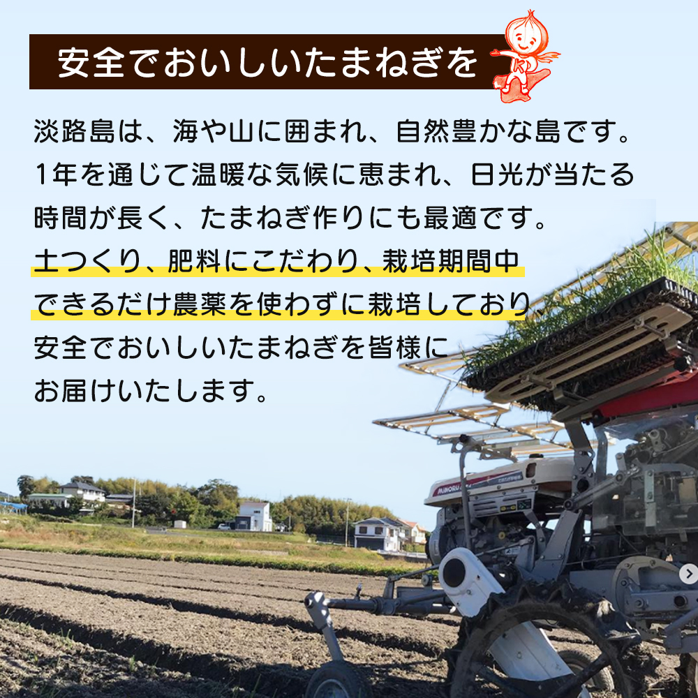 【玉ねぎ定期便12ヶ月】淡路島たまねぎ 歩-AYUMU- 2kg　玉ねぎ