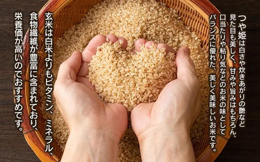 【令和8年産】特別栽培米 つや姫 玄米 5kg (5kg×1袋) 山形県庄内産 小池半左衛門  
