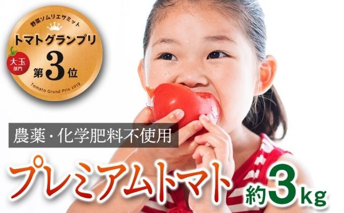 
[№5258-0254]【トマトGP受賞】栽培期間中農薬化学肥料不使用 こだわりのプレミアムトマト 約3kg
