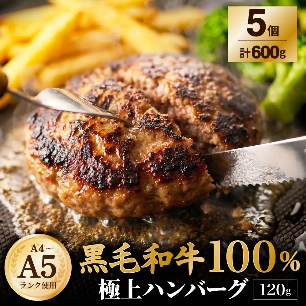 【A4～A5ランクの黒毛和牛100%】 ハンバーグ 120g×5個 （計600g） ／ 黒毛和牛 黒毛和種 和牛 国産牛 牛肉 お肉 肉 大阪府 阪南市 冷凍