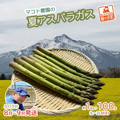【ふるさと納税】アスパラガス 先行予約 夏アスパラガス 約1kg+100g L～2L 厳選 マコト農園 アスパラ グリーンアスパラ 野菜 夏 旬 旬の野菜 産地直送 2025年 2025 先行 予約 青森 冷蔵 冷蔵配送 8月～9月発送　お届け：2026年8月1日～2026年9月10日