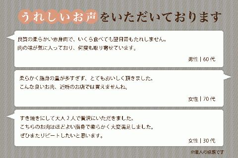 〈令和7年4月出荷〉熊本県産ＧＩ認証取得 くまもとあか牛（すき焼き用５００ｇ） 熊本県産 あか牛 すき焼き用 500g くまもとあか牛 GI認証取得 国産牛 牛 牛肉 肉 和牛 赤身 すき焼き しゃぶ