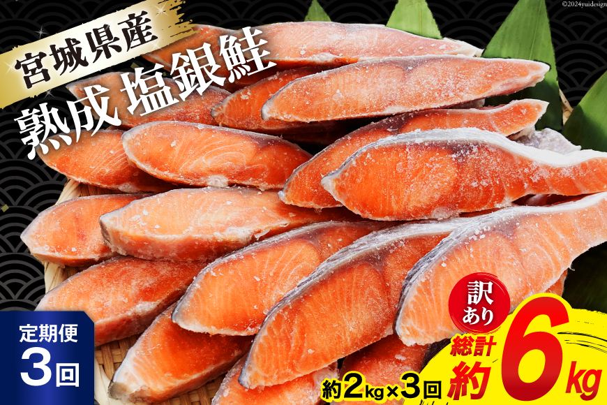 定期便 《3ヶ月連続お届け》 訳あり 宮城県産 熟成 銀鮭 切身 約2kg×3回 計6kg [宮城東洋 宮城県 気仙沼市 20564500] 魚 鮭 海鮮 国産 さけ 鮭 甘口 サケ 鮭切身 シャケ 切り身 冷凍 おかず 弁当 支援 事業者支援 サーモン