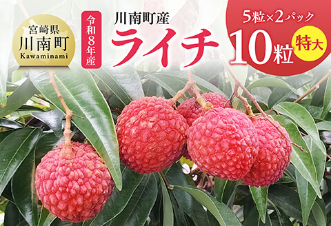 【令和8年産】川南町産ライチ（大粒）10粒(5粒×2パック) 【 国産ライチ フルーツ デザート 宮崎県産 】 [C03203]