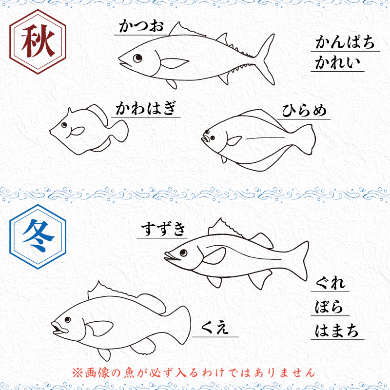 【魚屋のプロが厳選！】 鮮魚 BOX 4kg