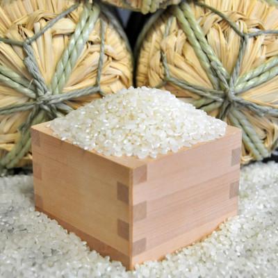 ふるさと納税 河内町 【毎月定期便】茨城県河内町産コシヒカリ20kg(10kg×2袋)全3回 |  | 01