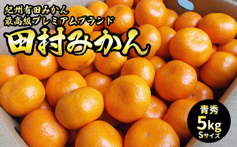 
            U6241n_【ふるさと納税】「高級 田村みかん」 青秀 約5kg Sサイズ 和歌山県有田産 有田みかん【ミカン 蜜柑 柑橘 温州みかん 和歌山産 有田みかん】
          
