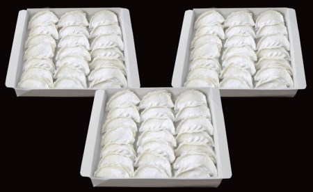 【5ヶ月定期便】一番亭の冷凍餃子63個セット×5回