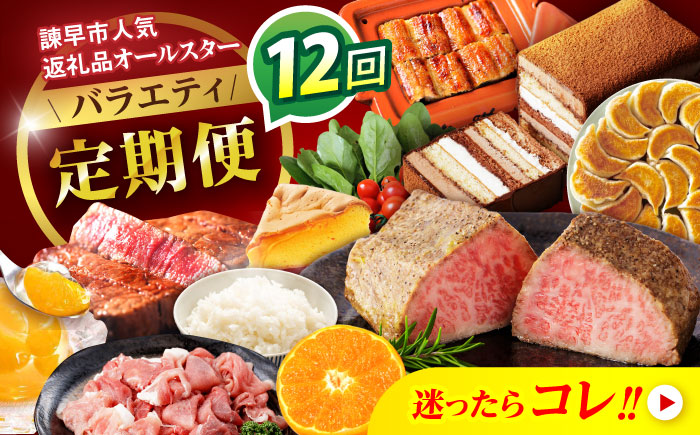【12回定期便】バラエティ定期便 諫早市人気返礼品オールスター / 豚肉 米 野菜 ローストビーフ スイーツ うなぎ ゼリー カステラ 卵 餃子 みかん ステーキ / 諫早市 [AHDC041]