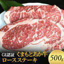 【ふるさと納税】ステーキ ロース GI認証 くまもと あか牛 500g 赤牛 牛肉 肉 お肉 にく ニク 熊本 ブランド 和牛 BBQ バーベキュー　錦町