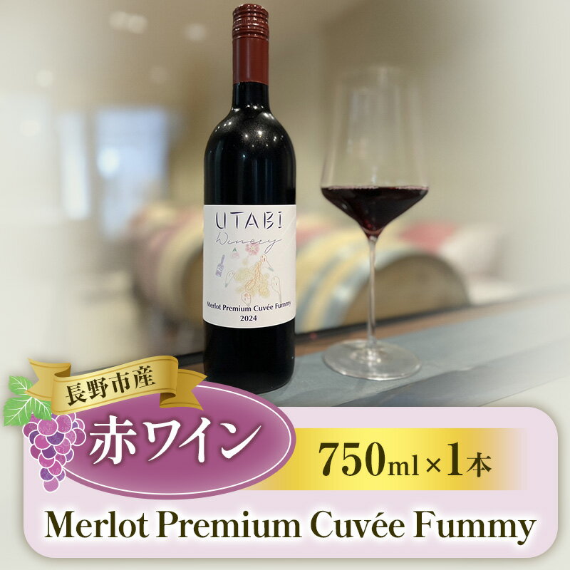 【ふるさと納税】ワイン Merlot Premium Cuvée Fummy 赤ワイン 750ml お酒 信州 長野市
