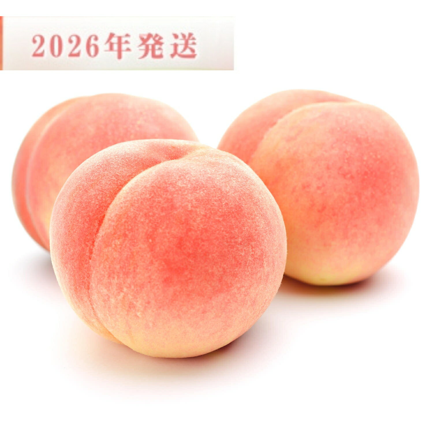 【ふるさと納税】☆2026年先行予約☆和歌山県産 白鳳 桃 秀品 / 選べる容量 / 5～8玉入 / 11～15玉入 / 先行予約【2026年6月下旬から7月下旬頃発送予定】 | もも モモ 桃 秀品 和歌山県 先行予約 名産品 フルーツ 直送 おすすめ お取り寄せ期間限定 数量限定