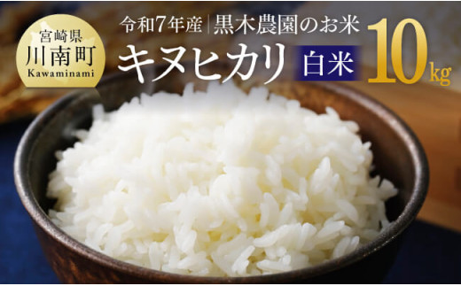 【令和7年産】黒木農園のお米「キヌヒカリ(白米)」10kg 【 米 お米 白米 国産 宮崎県産 きぬひかり おにぎり 】
