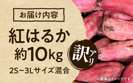【訳あり】 紅はるか 約10kg 2S～3Lサイズ混合 【株式会社 Foody’s】[AYAT003]