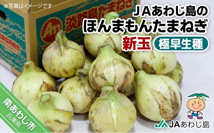 
                  【量が選べる！新玉予約！】あわじ島のほんまもんたまねぎ 極早生種　◆発送3月～
                