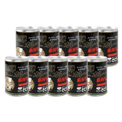 ふるさと納税 高山市 飛騨牛 入り カレー 10缶 キッチン飛騨 監修 さとうオリジナル ビーフカレー CY033